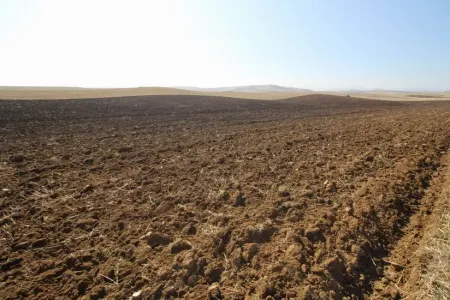 Azərbaycanda növbəti torpaq hərracları elan edildi