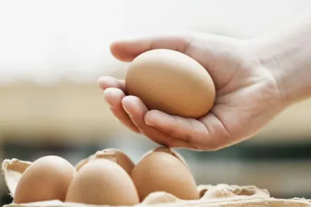 Yumurtanın təzə olduğunu bu cür bilmək olar