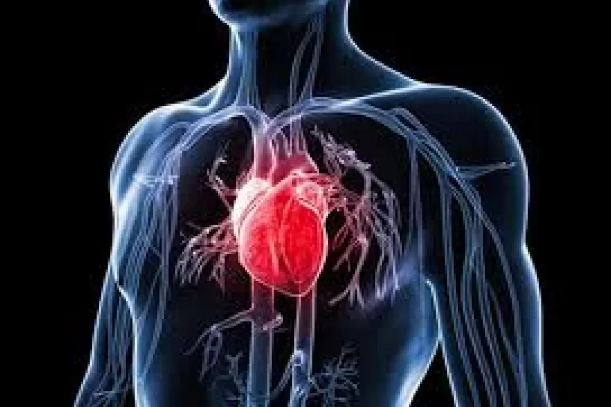 Ürək xəstəliyinin bir nömrəli dərmanı: Qiyməti çox ucuzdur