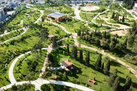 Yaşıllıqlara 13 min manatdan çox ziyan dəyib