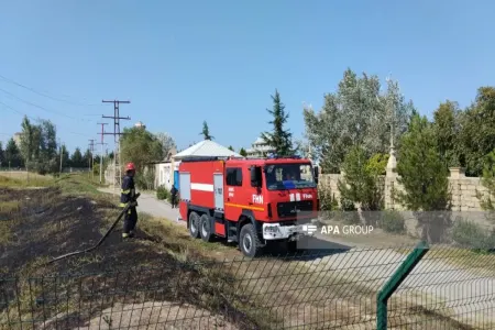 Xaçmaz Olimpiya İdman Kompleksinin yaxınlığında yanğın olddu - FOTO