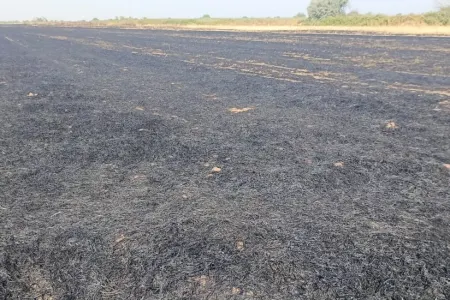 Beyləqanda yanğına səbəb olan şəxs məsuliyyətə cəlb olundu