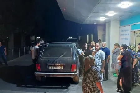 Astarada on aylıq körpə türkəçarənin qurbanı oldu