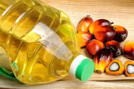 Ucuz, amma zərərli - Texniki palma yağı ərzaqlara qatılır?