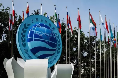 ŞƏT niyə Azərbaycan üçün əlverişli platformadır? - AÇIQLAMA