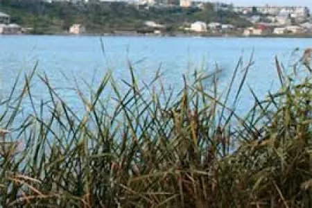 Digahda faciəvi hadisə - 14 yaşlı oğlan öldü