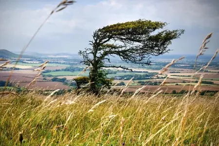Bakıda hava ilə bağlı XƏBƏRDARLIQ
