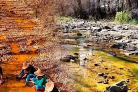 Əfsanə gerçəyə çevrildi: - Çaylardan qızıl tapıldı