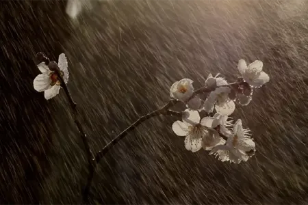 Bu ərazilərdə leysan olub