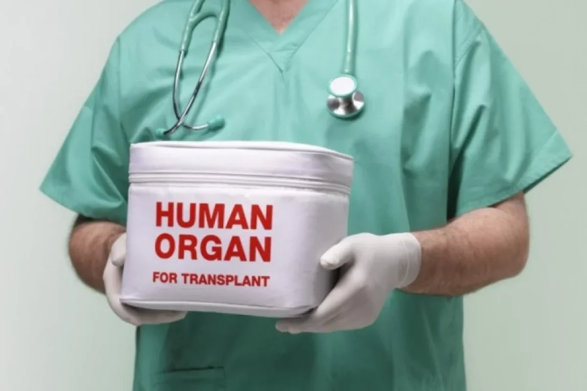 Beyin ölümü keçirən neçə nəfərin orqanı başqasına köçürüldü?