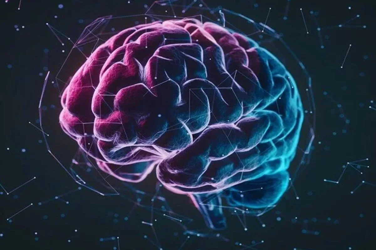 Beyin buna görə yaşlanırmış - Alimlər ilk dəfə səbəbini tapdı