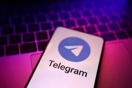 Dövlət Xidməti: “Telegram” hücumları araşdırılır
