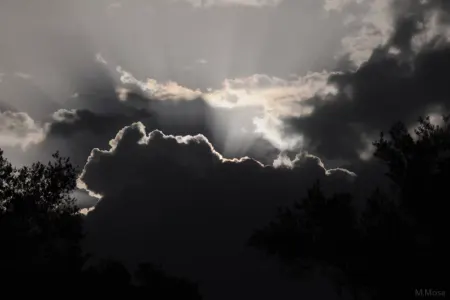 Bu qaydalara əməl etməyənlər risk altındadırlar - Xəbərdarlıq