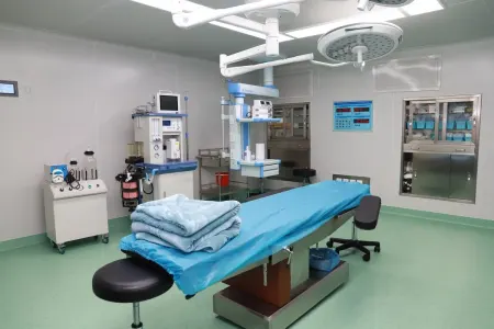 Plastik əməliyyatın qurbanı olan məşhurlar - Fotolar