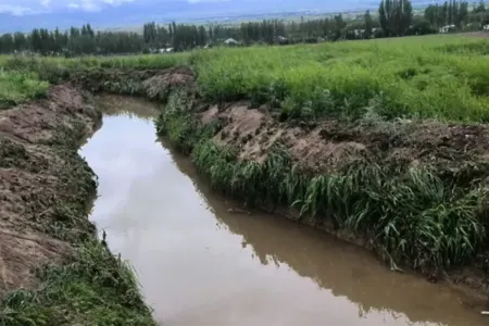 74 yaşlı kişi arxa düşüb öldü