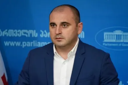 Gürcüstanda müxalifətçi həbs edildi