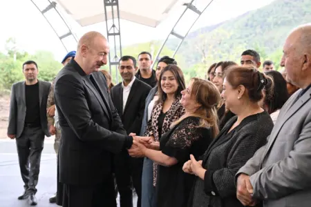 Prezident: "Bütün Qarabağ, bütün Şərqi Zəngəzur tikinti meydançasıdır"