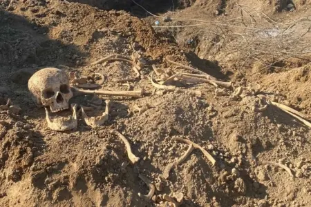 Qubada insan sümükləri tapıldı