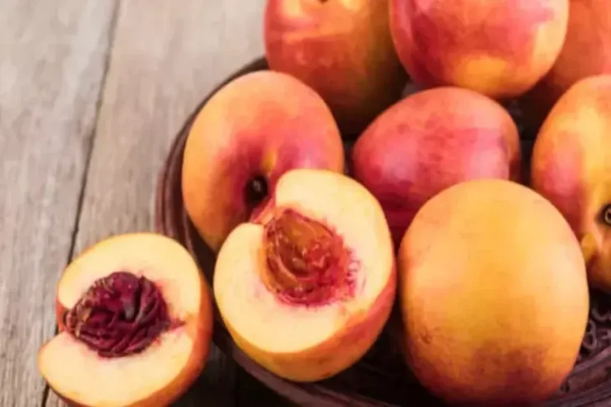 Acqarına yeyilən ŞAFTALI: Qanı təmizləyir, ürəyi cavanlaşdırır