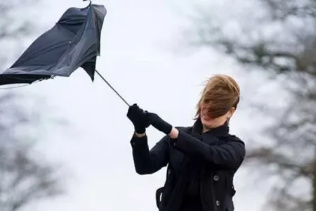 Növbəti iki gün güclü külək əsəcək - XƏBƏRDARLIQ