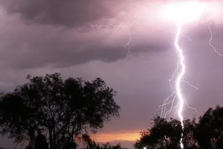 Zaqatalada ağacı ildırım vurdu - Video