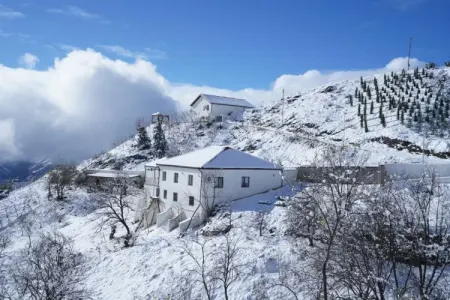 Laçına qar yağır - FOTO