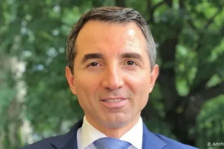 Adnan Əhmədzadə haqda qərar verildi - Cinayət işini DTX aparır