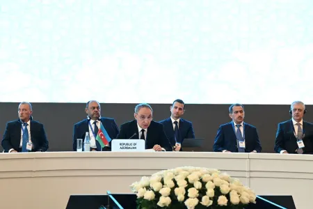 “Bu sənəd suverenliyimizin dünya miqyasında tanınmasıdır”