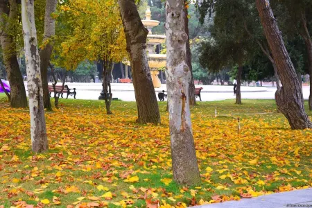 Bu gün saat 22:19-da...