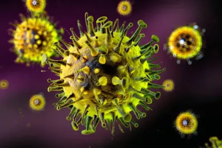 Dünya üçün təhlükə: Ölüm halları artdı, dəhşətli virus yayılır