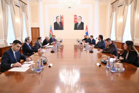 Əli Əsədov Serbiya Milli Assambleyasının sədri ilə görüşdü