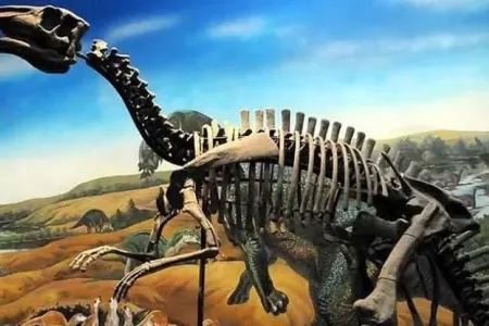 70 milyon il əvvəl yaşamış canlı növü aşkar edildi