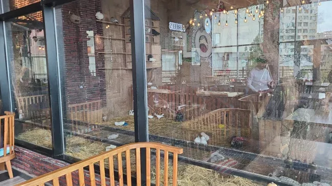 Məşhur restorana - XƏBƏRDARLIQ EDİLDİ