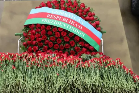 Prezident Zəfər parkına əklil göndərdi - Foto