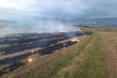 Şamaxıda yanğın törədən şəxs tutuldu