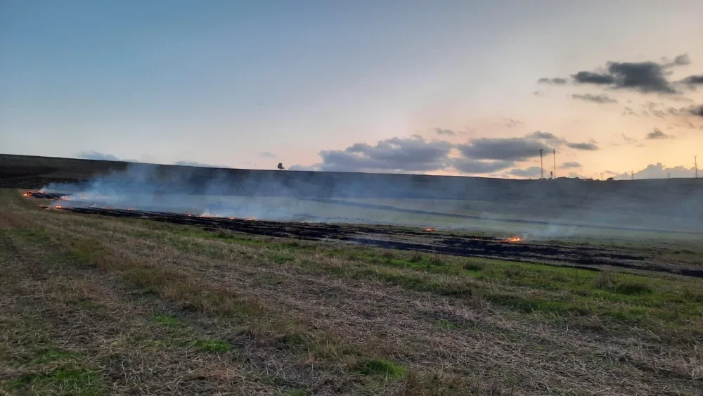 Şamaxıda yanğın törədən şəxs tutuldu
