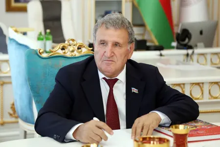 Bu qələbə həm də milli kimlik və dövlətçiliyin təntənəsidir - İsa Həbibbəyli