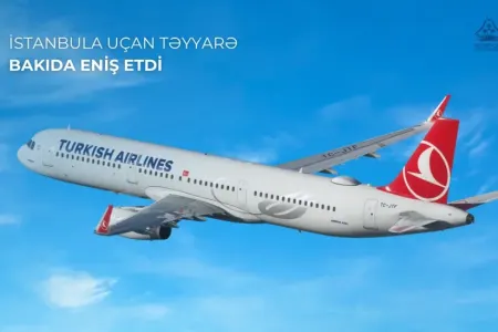 İstanbula uçan təyyarə Bakıda məcburi eniş etdi