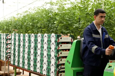 AQTA bu sahibkarlara xəbərdarlıq etdi - FOTO