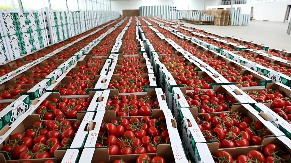 AQTA bu sahibkarlara xəbərdarlıq etdi - FOTO