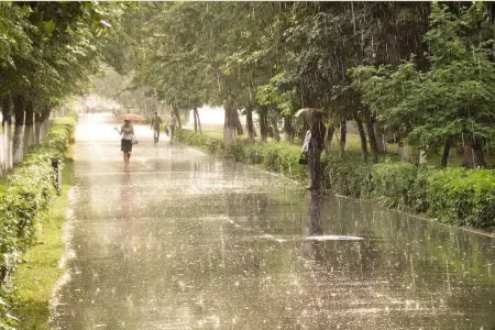 Oktyabrın ilk günü leysan yağacaq, dolu düşəcək - Proqnoz
