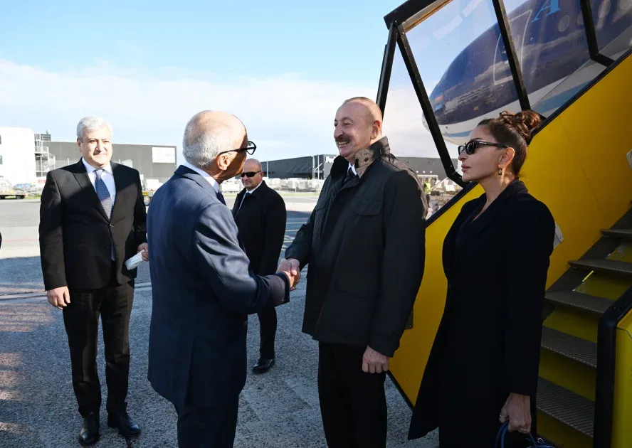 Prezident Danimarkaya getdi - Fotolar