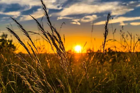 Sentyabrda 40 dərəcəyə yaxın isti olub