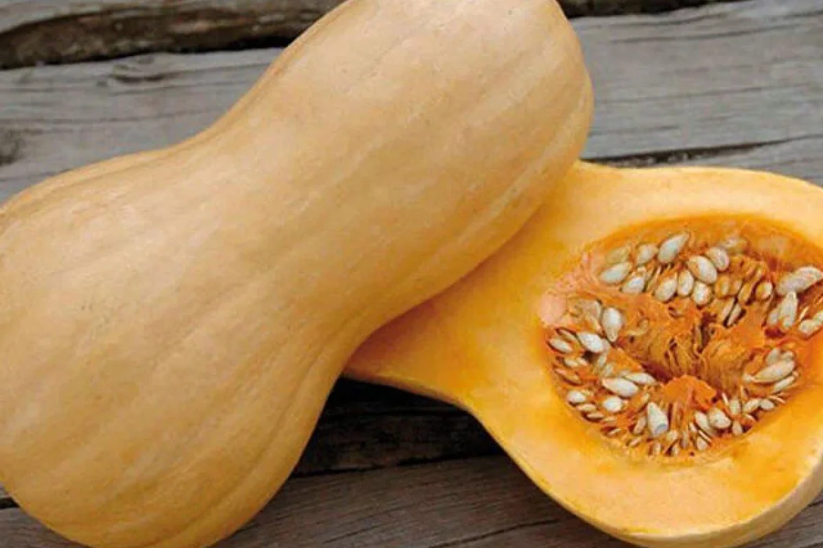 Tez-tez boranı yeməyin orqanizmə 5 faydası