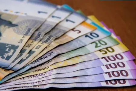 Manatın dövretmə sürəti azalıb