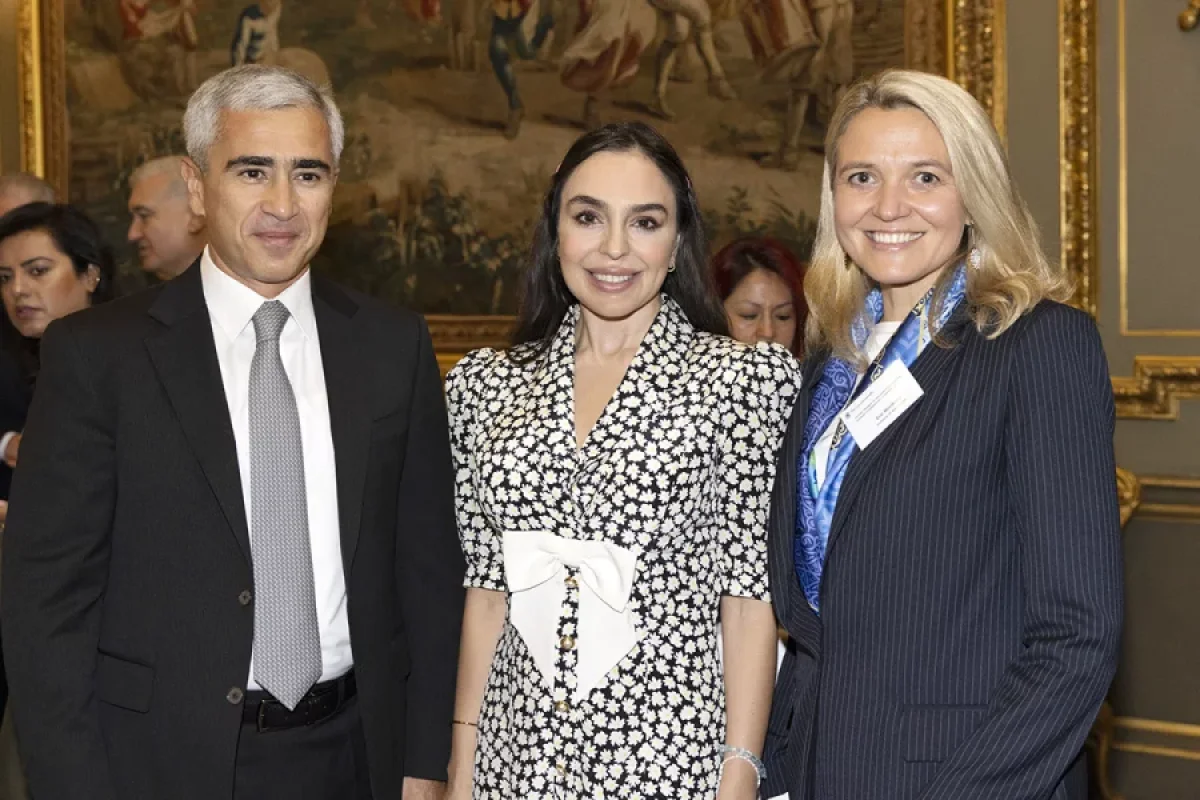 Leyla Əliyeva Londonda yüksəksəviyyəli iqlim dialoqunda - Fotolar