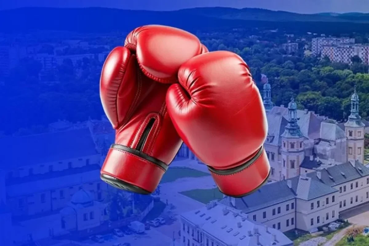 Azərbaycan boksçuları AÇ-də 5 medal qazandılar