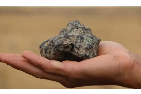 Göbələk axtarmağa getmişdi, meteorit tapdı