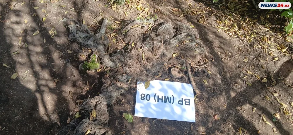 Konfrans iştirakçıları Ağdərədə kütləvi məzarlıqda - Foto