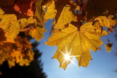 Bazar günü hava yağmursuz olacaq